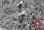Image of farmers learn about REA Saint Clairsville Ohio USA, 1940, second 20 stock footage video 65675030606