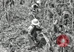 Image of farmers learn about REA Saint Clairsville Ohio USA, 1940, second 21 stock footage video 65675030606