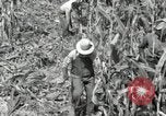 Image of farmers learn about REA Saint Clairsville Ohio USA, 1940, second 22 stock footage video 65675030606