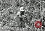 Image of farmers learn about REA Saint Clairsville Ohio USA, 1940, second 23 stock footage video 65675030606