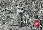 Image of farmers learn about REA Saint Clairsville Ohio USA, 1940, second 24 stock footage video 65675030606