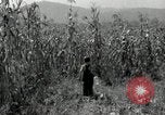Image of farmers learn about REA Saint Clairsville Ohio USA, 1940, second 25 stock footage video 65675030606