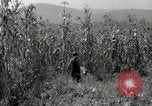 Image of farmers learn about REA Saint Clairsville Ohio USA, 1940, second 26 stock footage video 65675030606