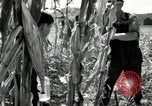 Image of farmers learn about REA Saint Clairsville Ohio USA, 1940, second 30 stock footage video 65675030606