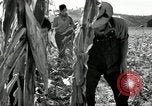 Image of farmers learn about REA Saint Clairsville Ohio USA, 1940, second 32 stock footage video 65675030606