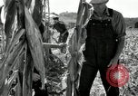 Image of farmers learn about REA Saint Clairsville Ohio USA, 1940, second 33 stock footage video 65675030606