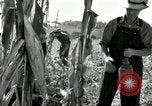 Image of farmers learn about REA Saint Clairsville Ohio USA, 1940, second 34 stock footage video 65675030606