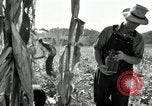 Image of farmers learn about REA Saint Clairsville Ohio USA, 1940, second 35 stock footage video 65675030606