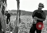 Image of farmers learn about REA Saint Clairsville Ohio USA, 1940, second 36 stock footage video 65675030606