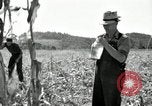 Image of farmers learn about REA Saint Clairsville Ohio USA, 1940, second 37 stock footage video 65675030606