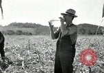 Image of farmers learn about REA Saint Clairsville Ohio USA, 1940, second 38 stock footage video 65675030606