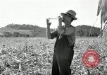 Image of farmers learn about REA Saint Clairsville Ohio USA, 1940, second 39 stock footage video 65675030606