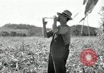 Image of farmers learn about REA Saint Clairsville Ohio USA, 1940, second 40 stock footage video 65675030606