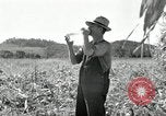 Image of farmers learn about REA Saint Clairsville Ohio USA, 1940, second 41 stock footage video 65675030606