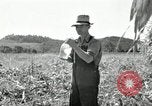 Image of farmers learn about REA Saint Clairsville Ohio USA, 1940, second 42 stock footage video 65675030606