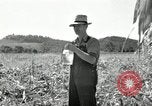 Image of farmers learn about REA Saint Clairsville Ohio USA, 1940, second 43 stock footage video 65675030606