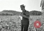 Image of farmers learn about REA Saint Clairsville Ohio USA, 1940, second 44 stock footage video 65675030606