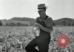 Image of farmers learn about REA Saint Clairsville Ohio USA, 1940, second 45 stock footage video 65675030606