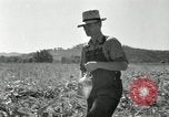 Image of farmers learn about REA Saint Clairsville Ohio USA, 1940, second 46 stock footage video 65675030606