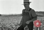 Image of farmers learn about REA Saint Clairsville Ohio USA, 1940, second 47 stock footage video 65675030606