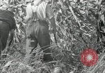 Image of farmers learn about REA Saint Clairsville Ohio USA, 1940, second 49 stock footage video 65675030606