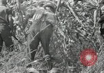 Image of farmers learn about REA Saint Clairsville Ohio USA, 1940, second 50 stock footage video 65675030606