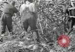 Image of farmers learn about REA Saint Clairsville Ohio USA, 1940, second 53 stock footage video 65675030606