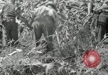 Image of farmers learn about REA Saint Clairsville Ohio USA, 1940, second 54 stock footage video 65675030606