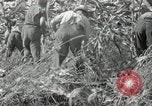 Image of farmers learn about REA Saint Clairsville Ohio USA, 1940, second 56 stock footage video 65675030606