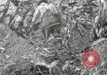 Image of farmers learn about REA Saint Clairsville Ohio USA, 1940, second 58 stock footage video 65675030606