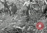 Image of farmers learn about REA Saint Clairsville Ohio USA, 1940, second 59 stock footage video 65675030606