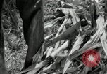 Image of farmers learn about REA Saint Clairsville Ohio USA, 1940, second 62 stock footage video 65675030606