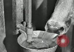 Image of benefits of electricity to early farmers Saint Clairsville Ohio USA, 1940, second 30 stock footage video 65675030608