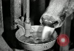 Image of benefits of electricity to early farmers Saint Clairsville Ohio USA, 1940, second 32 stock footage video 65675030608