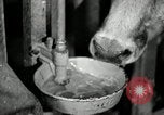 Image of benefits of electricity to early farmers Saint Clairsville Ohio USA, 1940, second 33 stock footage video 65675030608