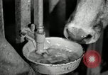 Image of benefits of electricity to early farmers Saint Clairsville Ohio USA, 1940, second 34 stock footage video 65675030608