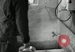 Image of benefits of electricity to early farmers Saint Clairsville Ohio USA, 1940, second 52 stock footage video 65675030608