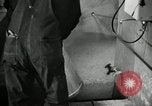Image of benefits of electricity to early farmers Saint Clairsville Ohio USA, 1940, second 55 stock footage video 65675030608