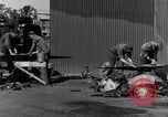 Standbild P-38 Flugzeuge Australien, 1942, aus Sekunde 5 historischem Filmmaterial Videoclip 65675030609