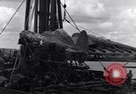 Standbild P-38 Ebene Montage Australien, 1942, aus Sekunde 61 historischem Filmmaterial Videoclip 65675030611
