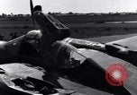 Standbild Pilot prüft P-38-Ebene Australien, 1942, aus Sekunde 40 historischem Filmmaterial Videoclip 65675030612