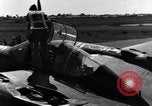Standbild Pilot prüft P-38-Ebene Australien, 1942, aus Sekunde 42 historischem Filmmaterial Videoclip 65675030612