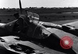 Standbild Pilot prüft P-38-Ebene Australien, 1942, aus Sekunde 46 historischem Filmmaterial Videoclip 65675030612