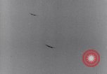 Standbild P-38 Lightning Flugzeuge Deutschland, 1945, aus Sekunde 1 historischem Filmmaterial Videoclip 65675030617