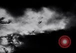 Image P-38 avions théâtre européen, 1945, de la seconde 56 séquences d'archives historiques vidéo 65675030618
