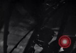 Image of P-38 planes of 80th fighter squadron in operation Pacific Theater, 1944, second 15 stock footage video 65675030620
