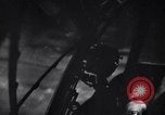 Image of P-38 planes of 80th fighter squadron in operation Pacific Theater, 1944, second 17 stock footage video 65675030620