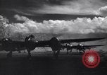 Image of P-38 planes of 80th fighter squadron in operation Pacific Theater, 1944, second 56 stock footage video 65675030620