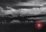 Image of P-38 planes of 80th fighter squadron in operation Pacific Theater, 1944, second 57 stock footage video 65675030620