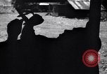 Image of P-38 planes of 80th fighter squadron Pacific Theater, 1944, second 6 stock footage video 65675030621